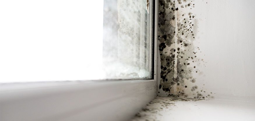 Wat te doen tegen een te vochtig huis? Tips en oplossingen!