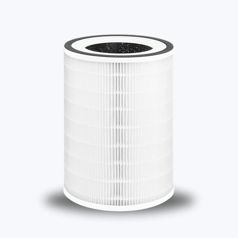 HEPA 13 filter - Mercury